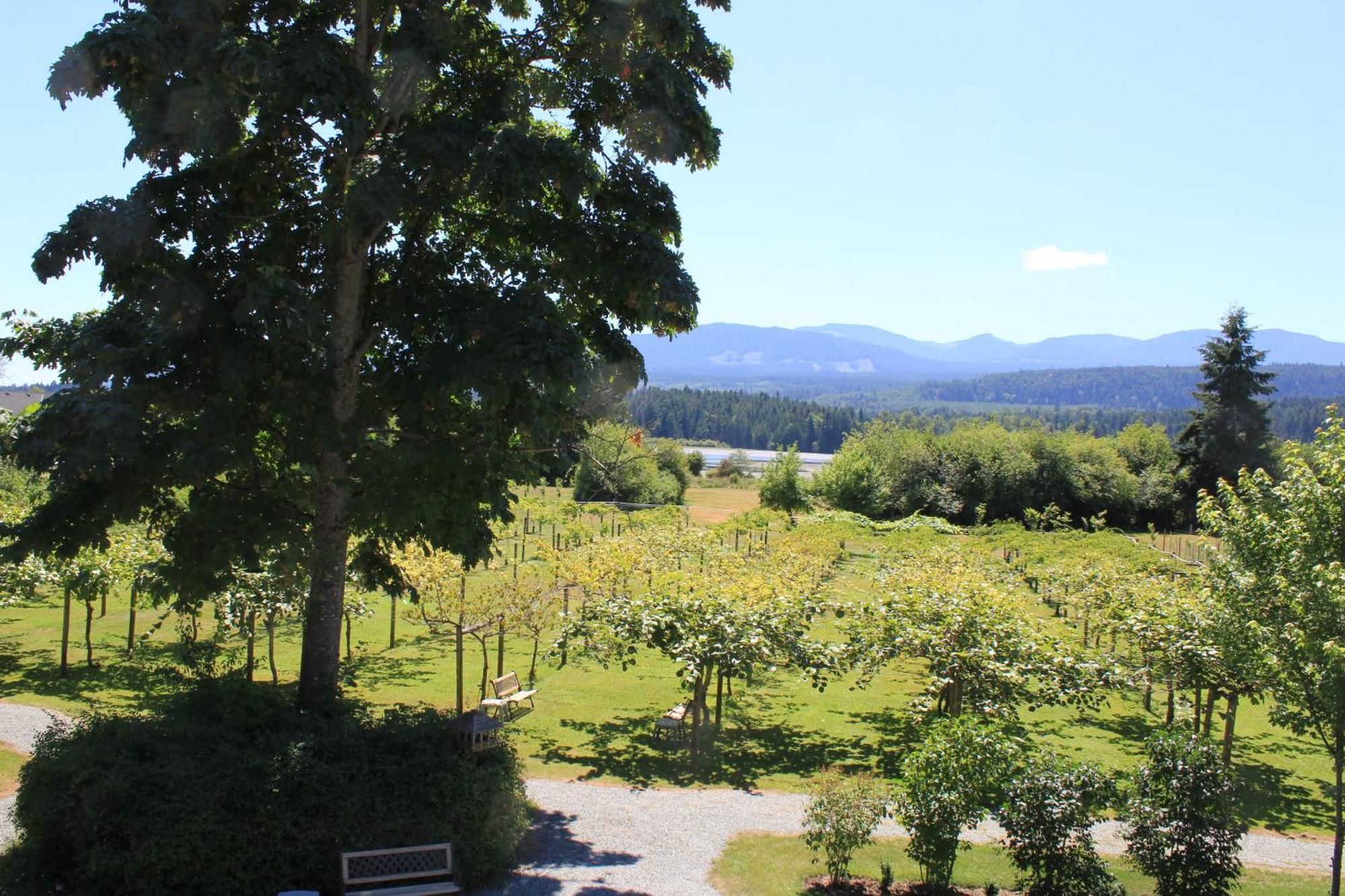 Kiwi Cove Lodge Ladysmith Δωμάτιο φωτογραφία