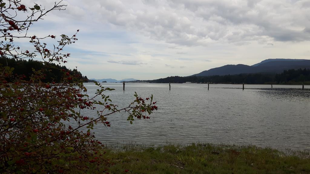 Kiwi Cove Lodge Ladysmith Εξωτερικό φωτογραφία