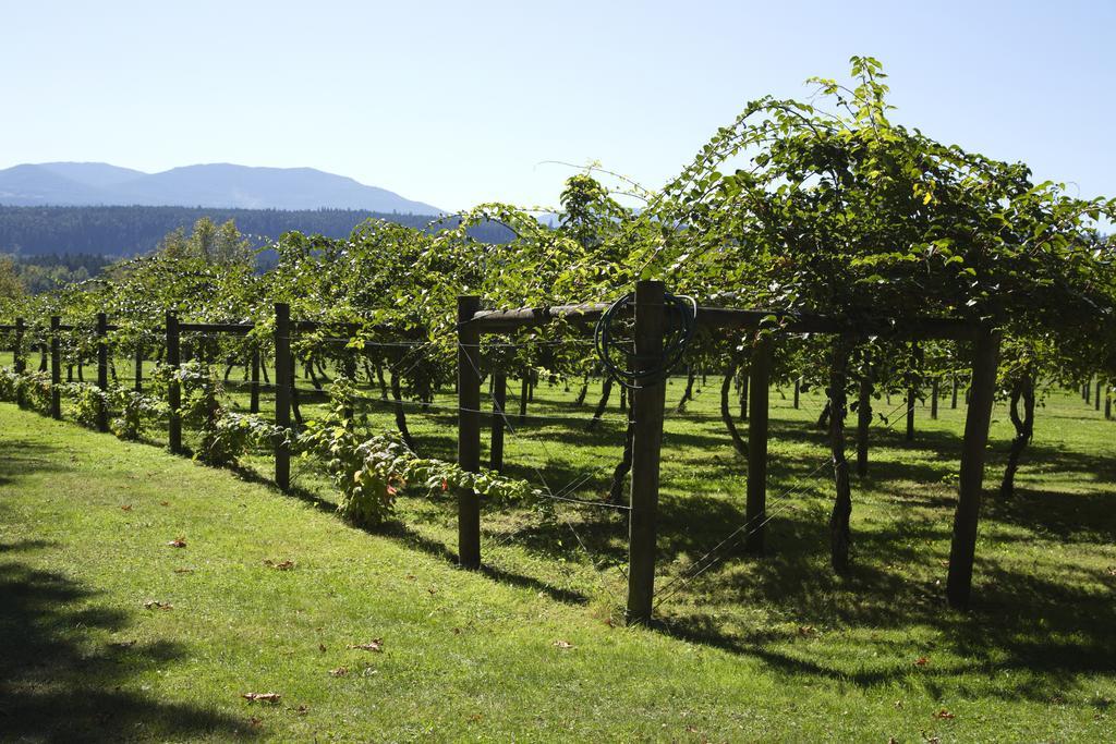 Kiwi Cove Lodge Ladysmith Εξωτερικό φωτογραφία
