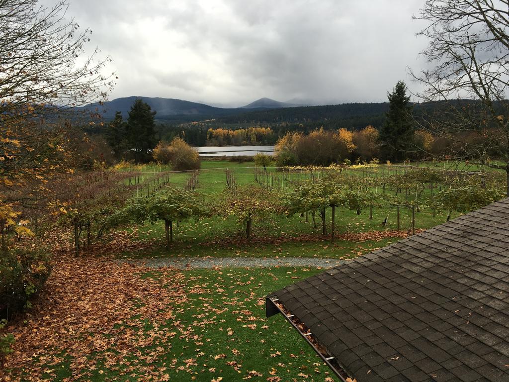 Kiwi Cove Lodge Ladysmith Δωμάτιο φωτογραφία